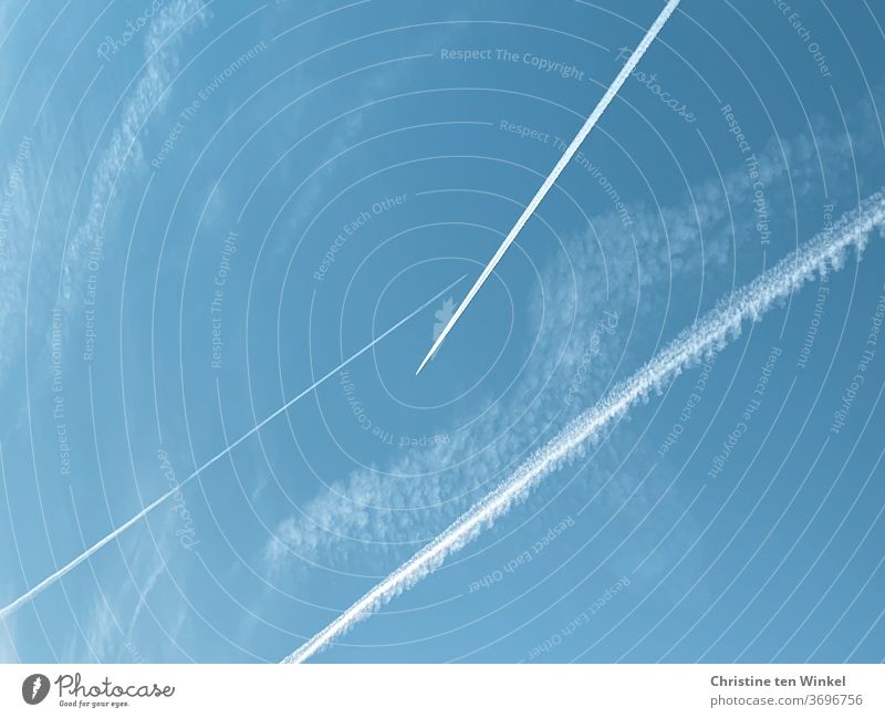 Keep your distance... It's gonna be tight in the sky... contrails... Vapor trail Sky Sky blue Airplane Aviation Vacation & Travel Wanderlust Tourism Flying