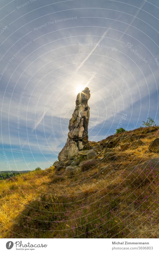 Teufelsmauer near Thale Nature Nature reserve Love of nature Miracle of Nature Colour photo Deserted Environment Environmental protection Light