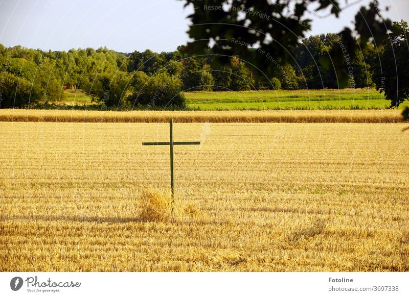 A wooden cross stands on a mown grain field as a reminder Field Cornfield Summer Agriculture Grain Ear of corn Nature Grain field Agricultural crop Nutrition