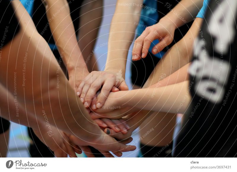 Volleyball - swearing in during the time-out Team team spirit hands Meeting Team spirit indoor volleyball Sports Ball sports competition amass swear in