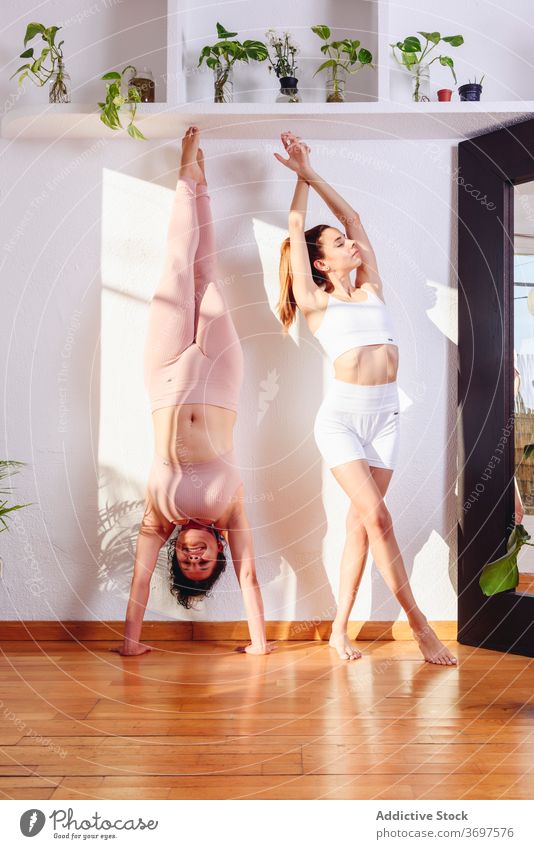 Tranquil women practicing yoga together at home practice flexible handstand mountain pose tranquil healthy balance asana wellness stretch harmony body friend