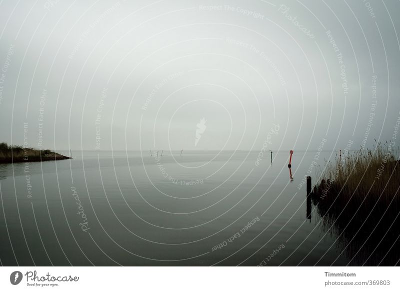 Orientation in the water. Ocean Environment Nature Water Sky Clouds Bad weather Plant Coast North Sea Denmark Deserted Pole Sign Signs and labeling Looking