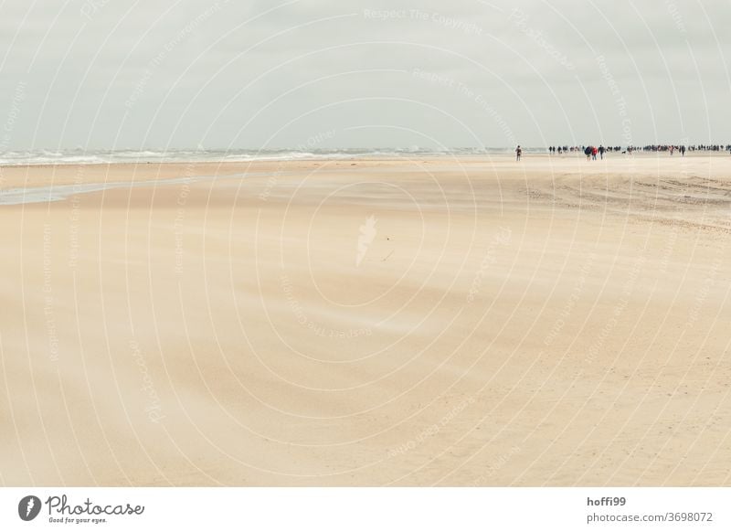 bustle in the distance on the wide beach of Skagen Beach Ocean Coast Summer Landscape Wet Water Vacation & Travel Relaxation ebb and flow Sunlight Silhouette