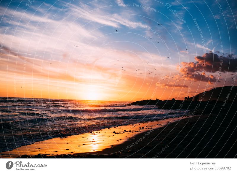 Waves lap against the beach as birds soar through golden skies & sunset in Ventura, California ocean waves california Exterior shot Pacific Ocean