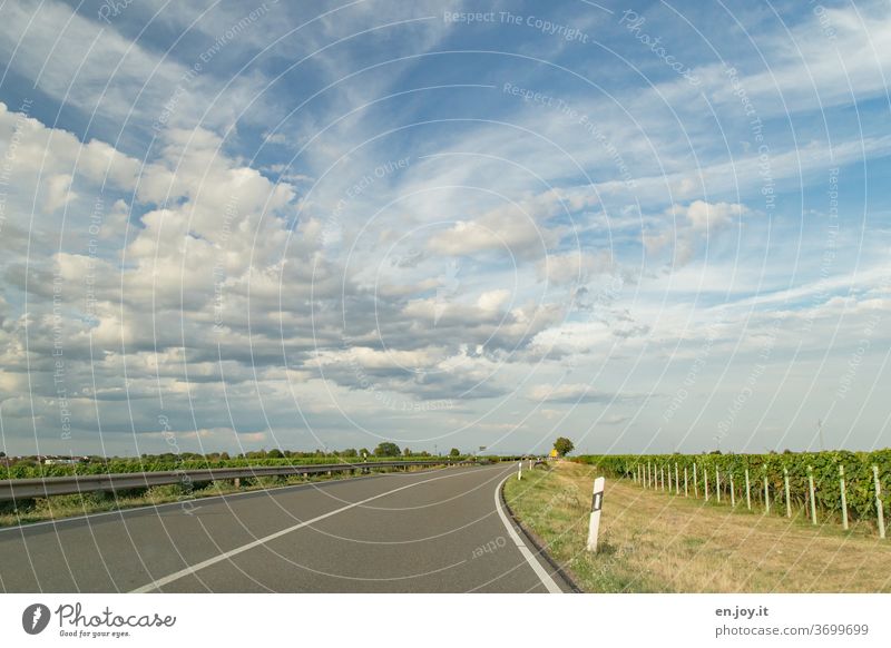 on the way in the Palatinate Street no passing palatinate Clouds Sky Curve Roadside vines Crash barrier Wide angle Driving Transport Motoring In transit travel