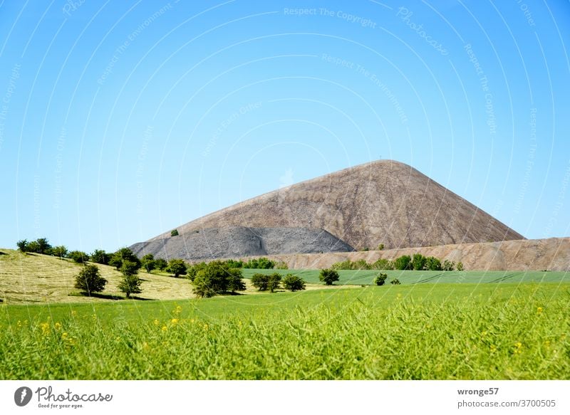 Slag heap of the mining industry in the Mansfeld mining district behind green foreground and under blue sky Mining history Mining industry Copy Space top