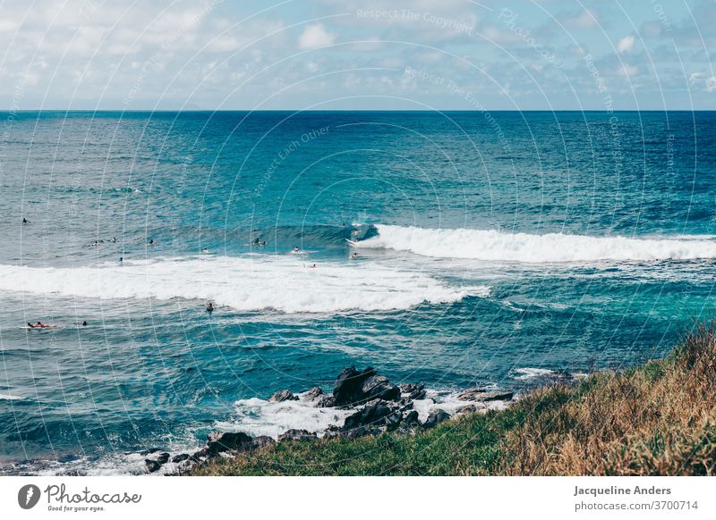 Surfers in Maui wait for the next wave in the sea Ocean Water Blue Landscape Waves Surfboard Coast Sports Lifestyle Gorgeous Surfing Hawaii Adventure Summer