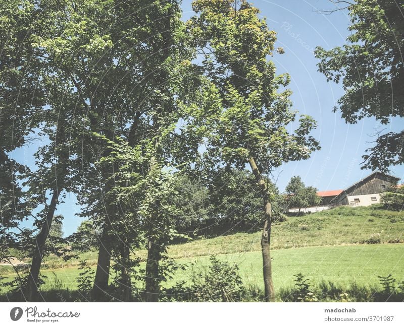 Mountain hut idyll Alpine hut Idyll idyllic romantic tawdry Kitsch Nature mountains vacation Relaxation Landscape Vacation & Travel Tourism Colour photo Calm