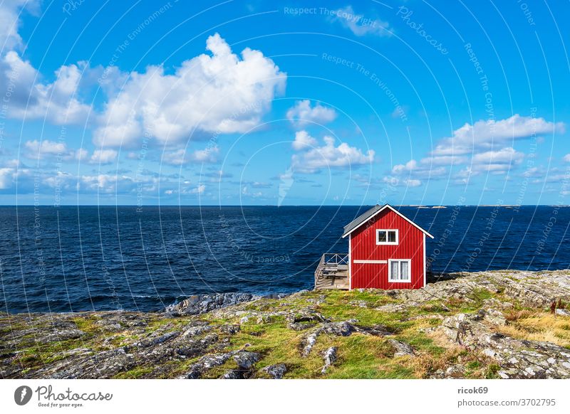 Red wooden cabin on the island of Åstol in Sweden Västra Götalands län Bohuslan archipelago archipelago garden Ocean Coast North Sea Skagerrak Water Island