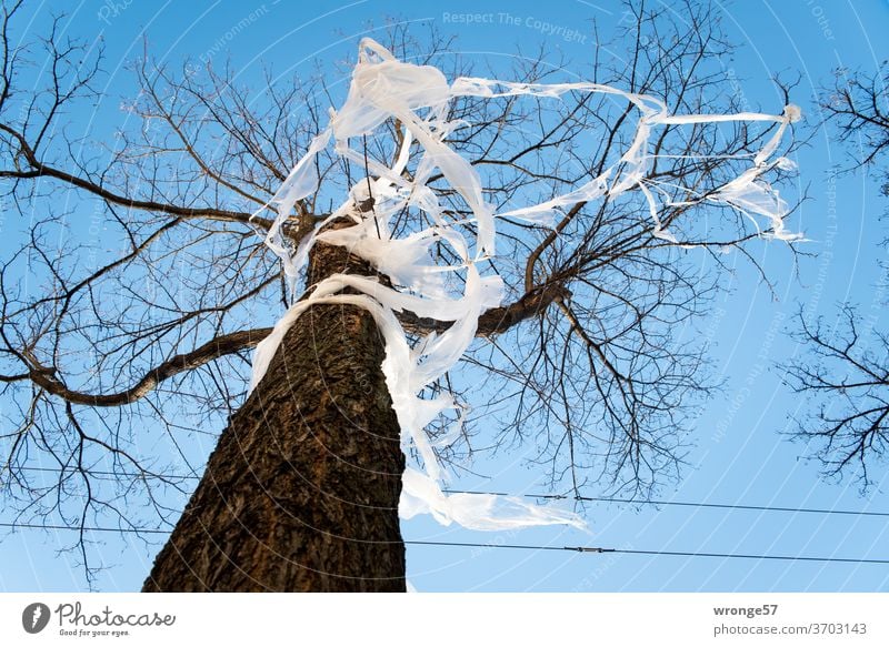 trapped in plastic garbage topic day Captured Packing film Tree road tree House front Roadside Town city-green Trash plastic foil plastic waste