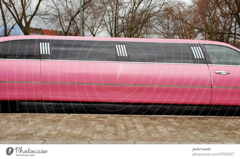 pink stretch limo Car Stretch Limousine Decadence Luxury Sidewalk Pink bare trees Long us car Design Car body Status symbol Elongated comfort detail Window pane