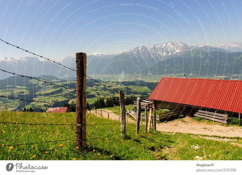 Alpine hut - Schlenkenalm Relaxation Calm Vacation & Travel Tourism Trip Far-off places Summer Summer vacation Mountain Hiking Agriculture Forestry Nature