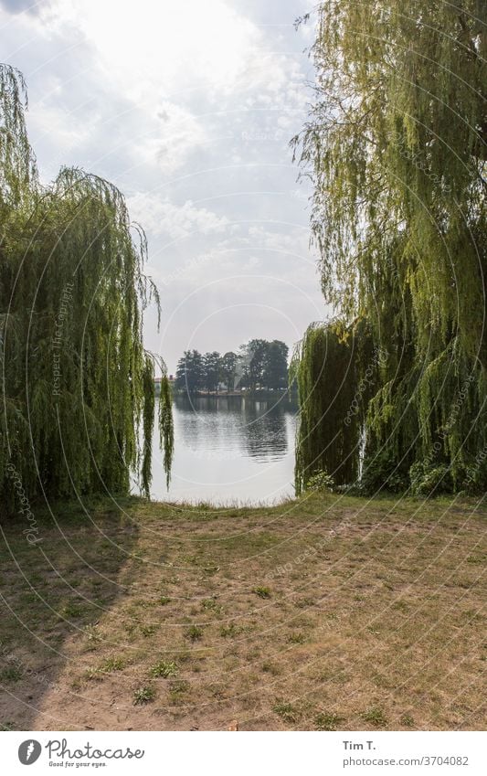 Mill Lake bank Brandenburg Havel Land Nature Water tree Vacation & Travel Calm Exterior shot Reflection Idyll Landscape Colour photo Sun Clouds Liebenwalde