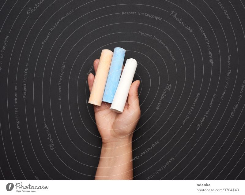 female hand holding three colored chalk on a background of an empty black chalk board caucasian chalkboard childhood closeup wooden adult blackboard blue