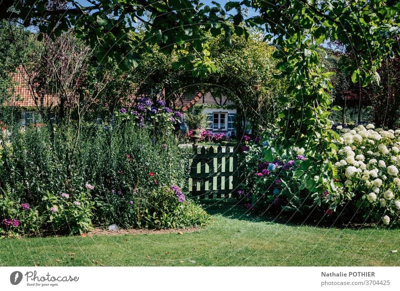 Beautiful flower garden with small wooden gate and house in the background beautiful cottage trees flower beds flowers gardening summer grass lawn colourful