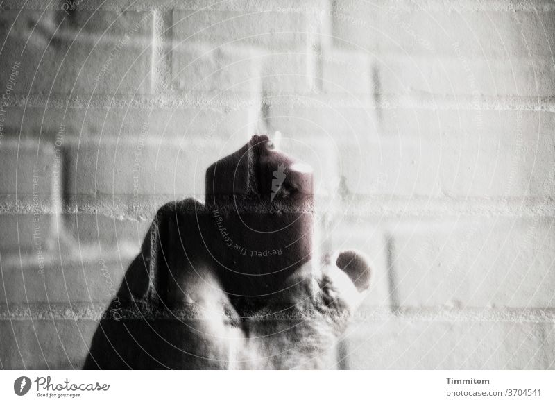 Hand in front of wall with candle Wall (building) shoulder stand Interior shot bricks Skin White Gray Red lines