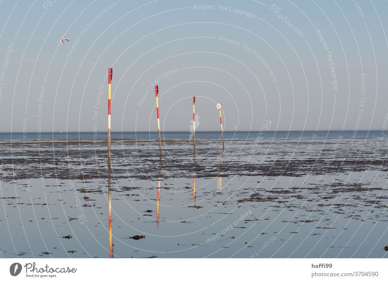 Sticks in the mudflats - the seagull doesn't care ... bathing area poles Marker line Mud flats Swimming pool guarded beach Beach North Sea Water Sand Sun Sky