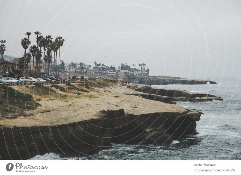 La Jolla California Coast USA Colour photo Nature Vacation & Travel Summer Blue Day Americas Landscape palms Bay Rock Ocean Water Sky Pacific Ocean