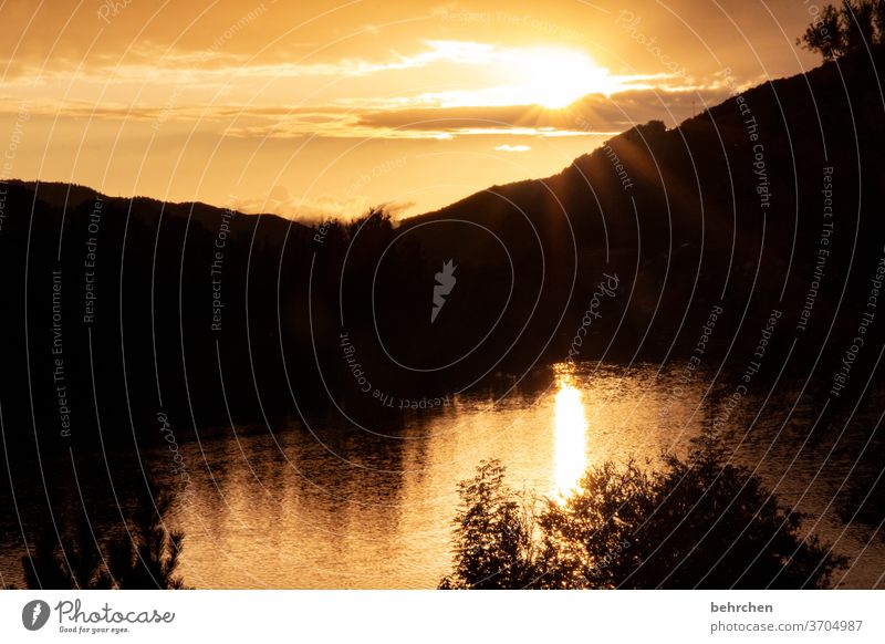 Light and shadow Orange Nature Contrast Night Bright conceit Clouds Hope Environment Gorgeous Dream romantic Romance Vineyard Mountain River Moselle Sunbeam