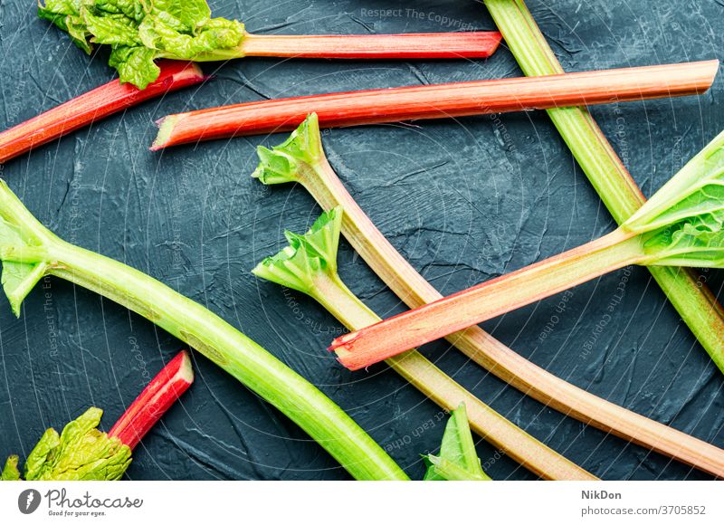 Fresh red rhubarb vegetable stem raw plant fresh food healthy rhubarb stem stick edible plant organic green natural sour rhubarb plant diet vegetarian