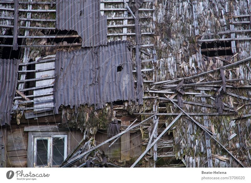 Once upon a time: ramshackle wooden farmhouse Black Forest house Farm Broken dilapidated Wooden house Exterior shot House (Residential Structure) Building