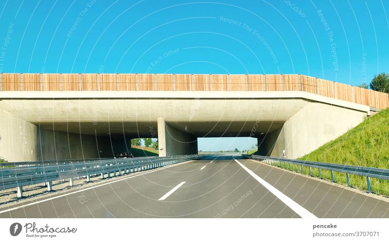 freie fahrt Straße Schnellstraße Tunnel neu B31 Bodensee Bodenseeregion Friedrichshafen Autostraße fahren Umgehungsstraße