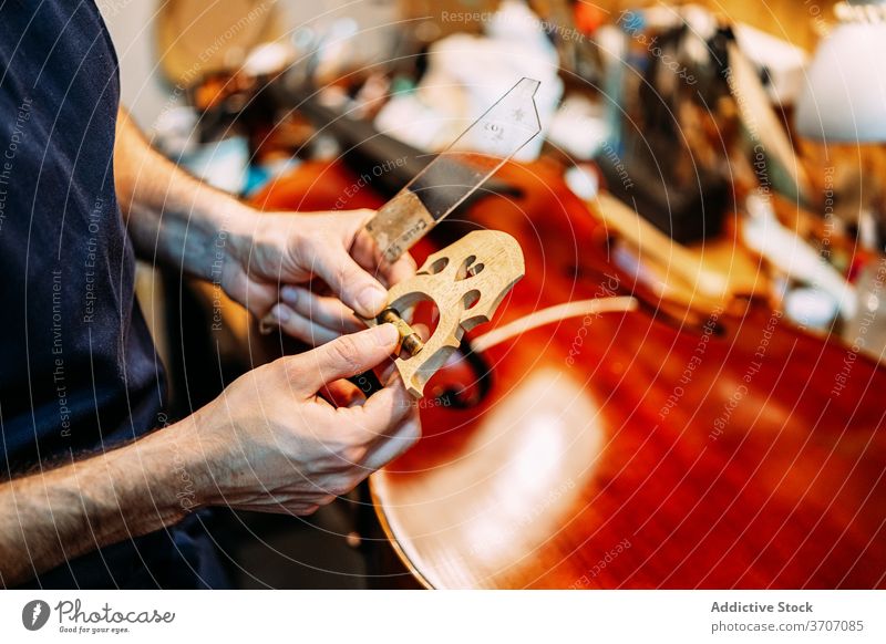 Luthier with violin bridge in workshop luthier instrument repair make artisan restore man craft tool build string equipment skill master male maker occupation