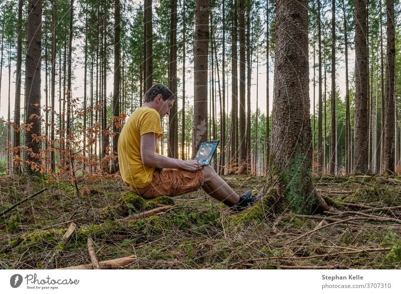 A man working with his laptop in a forest on the fresh air sitting on a trunk. cozy health computer concrete green modern background light desktop environmental