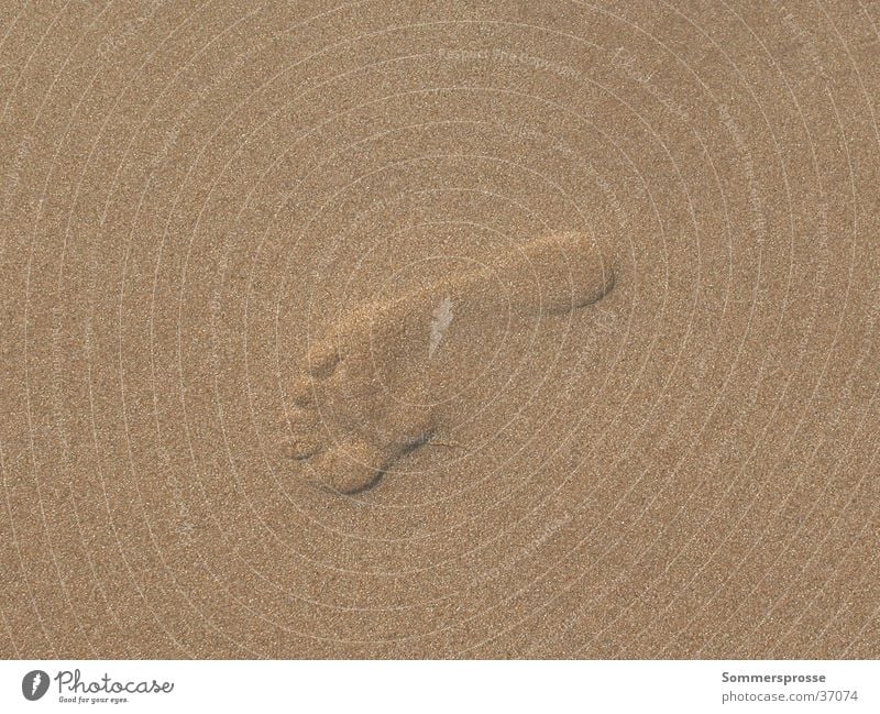 Foot in the sand Beach Footprint Sand sign Barefoot