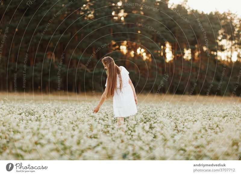 Portrait of a beautiful girl in a white dress in a flowering field. Field of flowers. Summer. unity with nature. woman model spring young lifestyle romantic