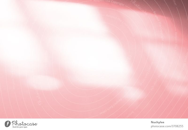 Window natural shadow overlay on pink texture background, for overlay on product presentation, backdrop and mockup, abstract nature shadow pattern exterior art