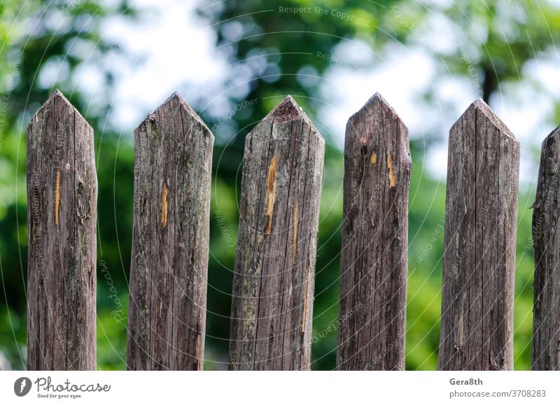 fence wooden stakes on the farm autumn background blue brown climate color day detailed fresh garden green identical landscape log natural nature no people