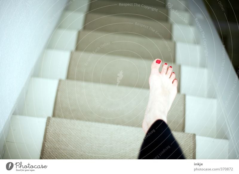 Vampires go to sleep in the basement Nail polish Living or residing Flat (apartment) Stairs Feminine Life Feet Women`s feet 1 Human being Carpet stepped mats