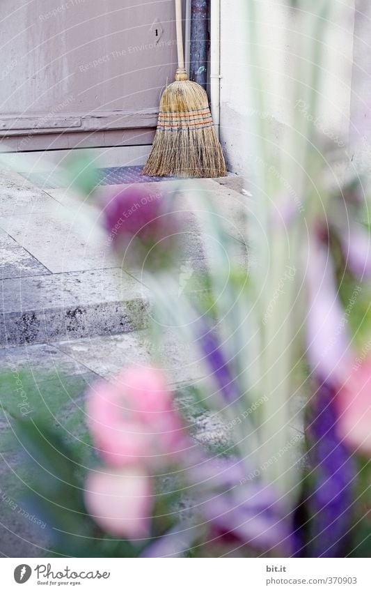 Flowers for the housewife Living or residing Work and employment Gardening Workplace Services Closing time Responsibility Indifferent Comfortable Perspective