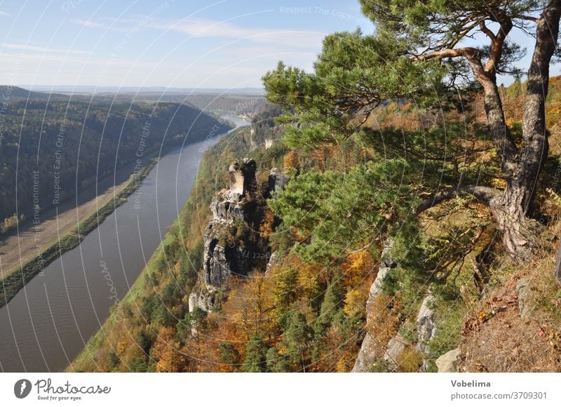 View from the Bastei to the Elbe basement rock Elbe valley River Rock climbing rocks Nature Landscape Health resort Rathen rathen downgrade Elbsandstein region