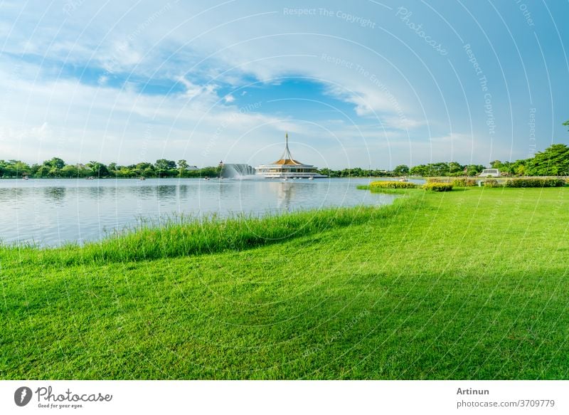 Lake and green grass field at the park. Watercycle in lake near pavilion. Lawn and garden in the park on summer. Green tree and grass field. Picnic on holiday. People relax and have activity in park.