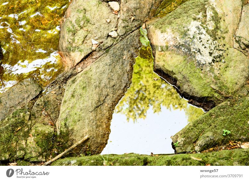 Stones overgrown with green moss lie in the bed of the Ilse, the leaves of the slowly autumnal coloring trees are reflected in the water stones Rock Moss