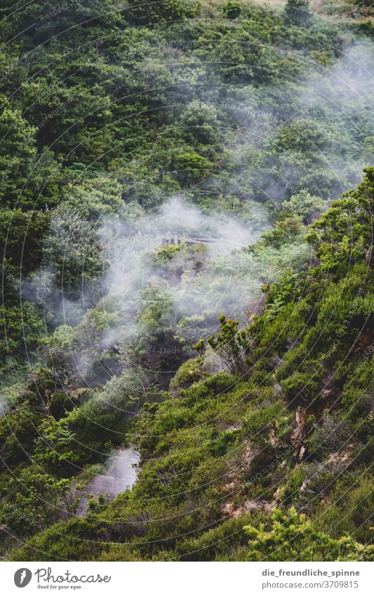 Hot springs sources steams Volcano Exterior shot Landscape Nature Environment Exceptional Azores Elements Steam Water Climate Day Colour photo huts green bushes