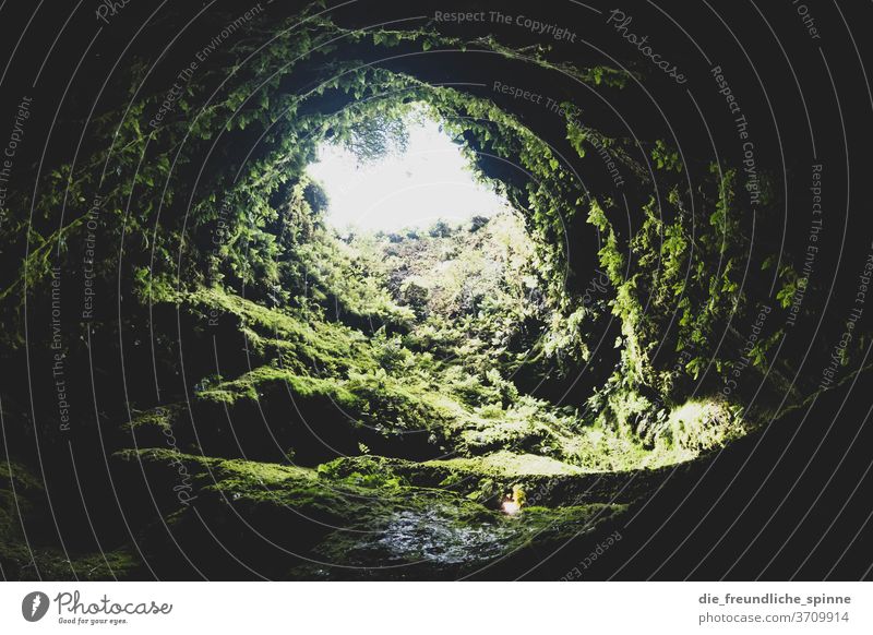 Volcanic Cave Volcano Water Stone Mountain conceit green Grass Sky Looking divine enlightenment Rock Nature Landscape Earth Day Plant Environment Hiking Azores