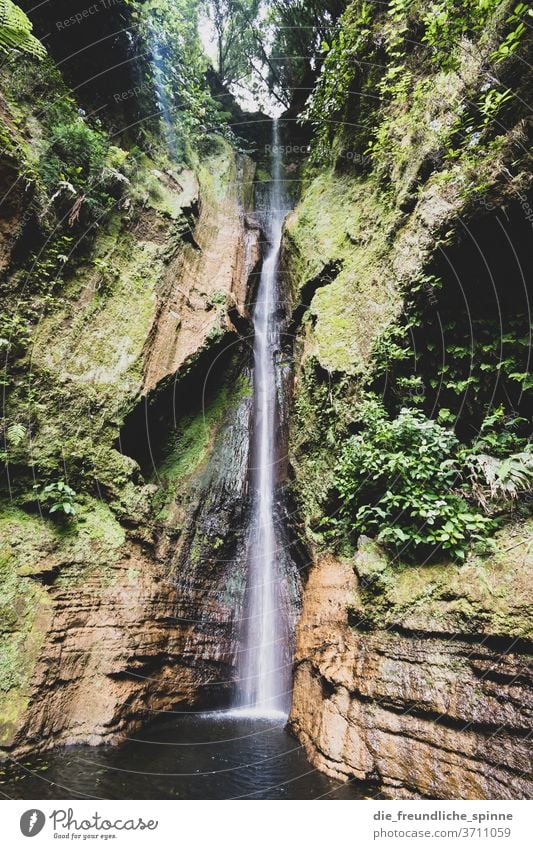 Waterfall in the Azores mountains Nature Drops of water Exterior shot Mountain Environment Rock Landscape Deserted Brook River green Day Canyon Stone Flow