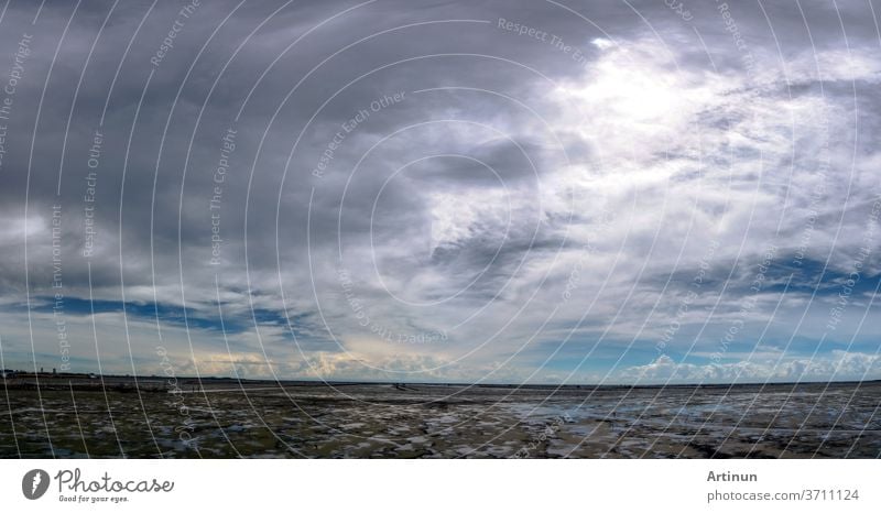 Landscape of mud beach, sea, and sky. Panorama view of beach at tide and skyline. Beautiful cloudscape. Blue sky and white clouds on sunny day. Tropical sea. Summer travel concept. Climate change.