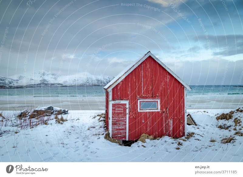 Red cabin on the beach in Lofoten hut Barn Beach Snow Winter Ocean Lofotes Norway Scandinavia Wooden hut Mountain Horizon Vacation & Travel Coast chill Fjord