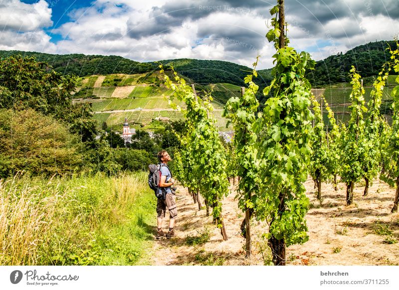 the scent of wine Architecture Town Forest Vacation & Travel Hiking Nature Exterior shot Environment Summer Landscape Colour photo Mountain Tourism Trip