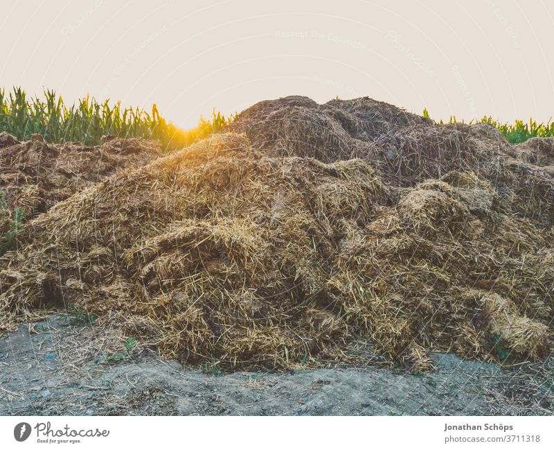 heap of manure at the edge of a field Evening sun Farm Field Feces Agriculture Maize field crap Manure heap reutilisation organic out okö Exterior shot Nature