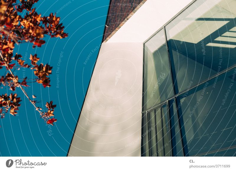 nature and architecture Architecture House (Residential Structure) architectural photography Window Sky Cloudless sky tree leaves Autumn Wall (building)