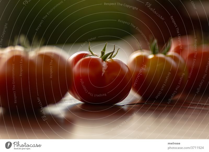 Harvesting tomatoes in a row Table Row Food Tasty Red Fresh Healthy Nutrition Vegetable Close-up Delicious Vegetarian diet Healthy Eating Organic produce