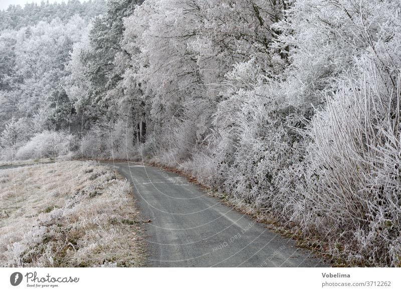 Away with hoarfrost off Snow Mature Hoar frost Winter Forest Edge of the forest Landscape Odenwald Sky Hesse Germany Nature chill Frost