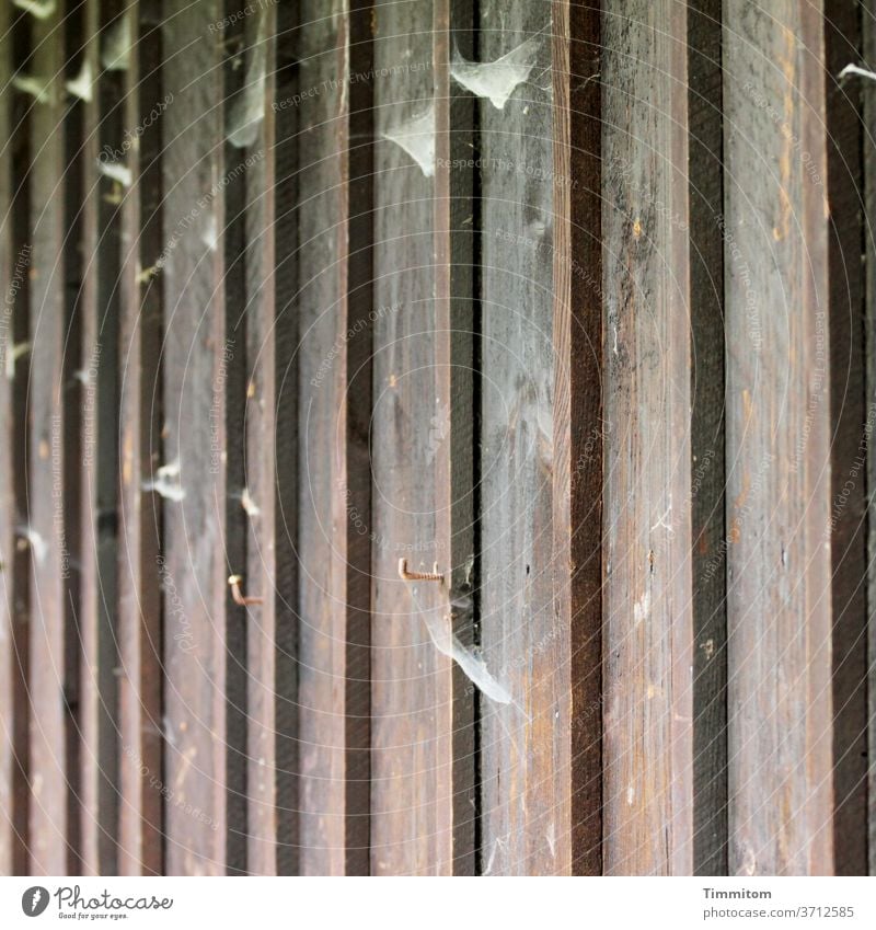 A wooden wall is decorated with cobwebs and metal hooks Wood Metal Checkmark lines Dark Shallow depth of field Deserted Exterior shot boards Wooden wall Facade