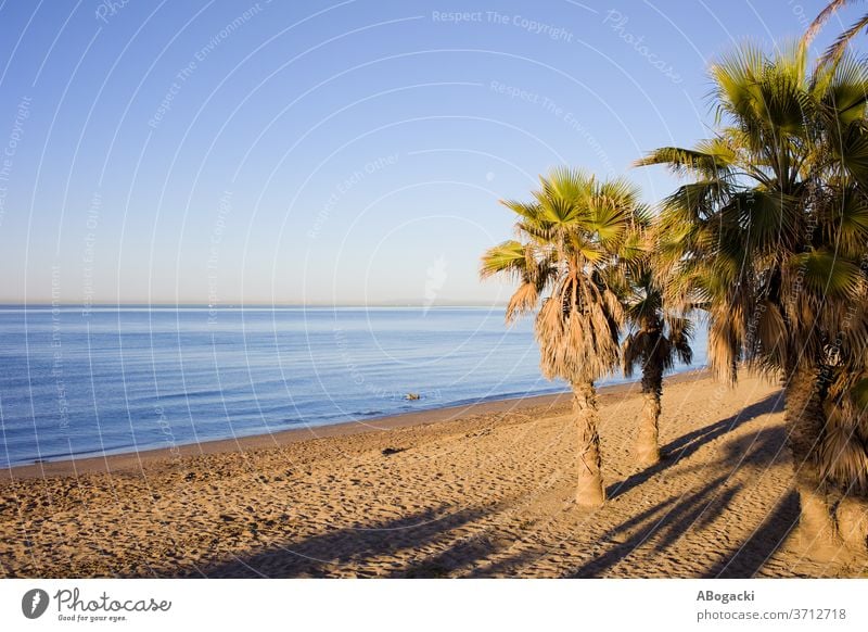 Marbella Beach on Costa del Sol in Spain beach marbella costa sol andalusia andalucia spain sandy coast coastline seashore mediterranean seaside coastal water