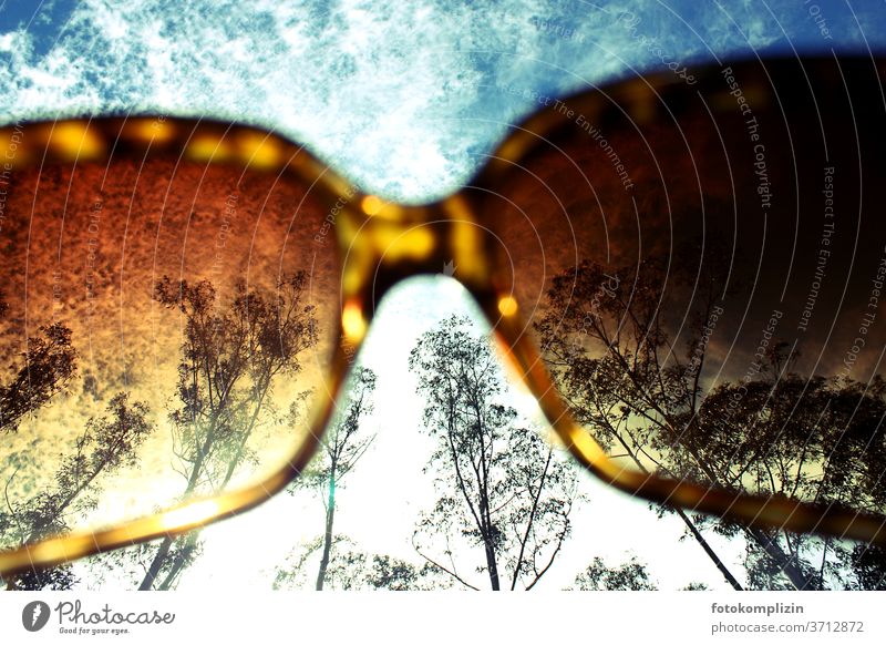 Sky, clouds and trees discolored by sunglasses Sunglasses Clouds view from below Eyeglasses Vacation & Travel Summer feeling Leisure and hobbies Relaxation